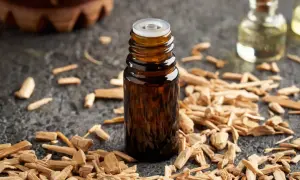 Butelka z olejkiem cedrowym otoczona wiórkami drewna. Poczuj, jak pachnie cedr, dzięki temu naturalnemu olejkowi.