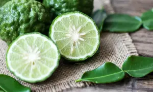 Całe i przekrojone limonki kaffir na płótnie. Ich skórka jest pomarszczona, a miąższ jest jasnozielony. W tle widać liście. Czuć, jak pachnie bergamotka.