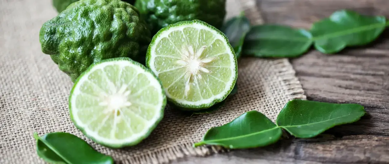 Całe i przekrojone limonki kaffir na płótnie. Ich skórka jest pomarszczona, a miąższ jest jasnozielony. W tle widać liście. Czuć, jak pachnie bergamotka.