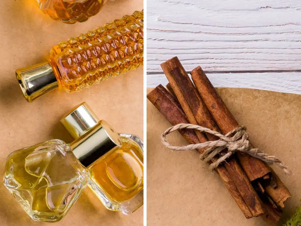 Złote perfumy i laski cynamonu – esencja jesienne zapachy.